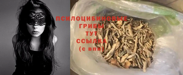 сатива Алексеевка