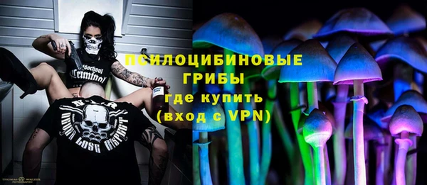 кокс Алексин