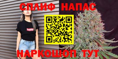 spice Коммунар