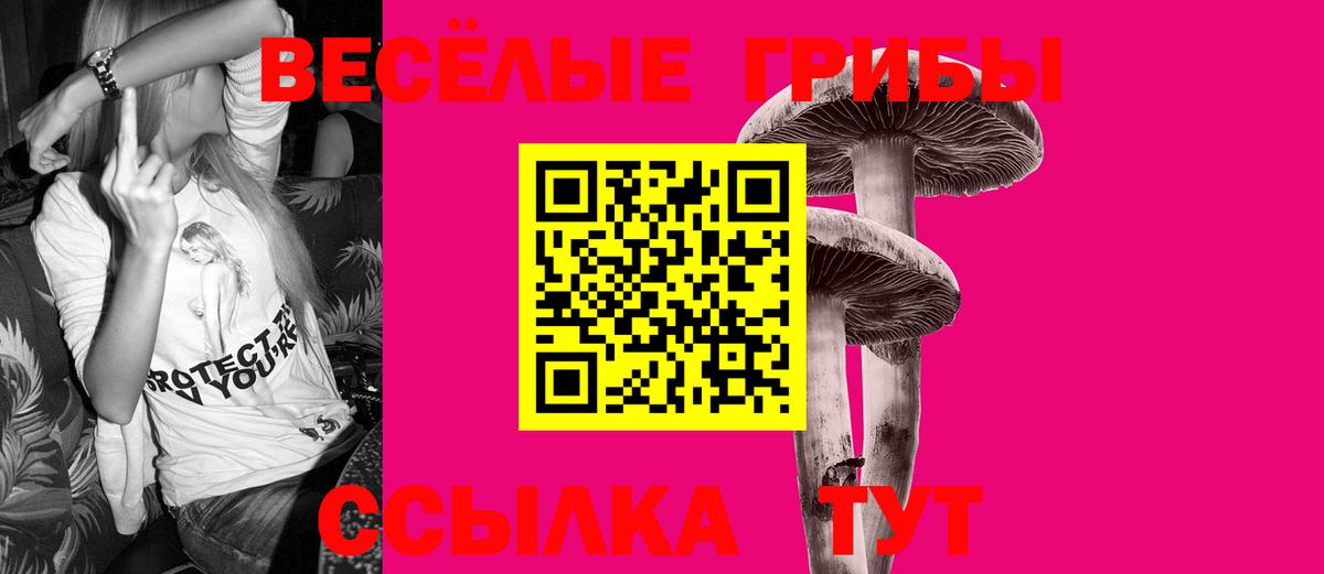 Галлюциногенные грибы мухоморы  Псилоцибиновые грибы ЛСД  Вход с VPN  Миллерово 